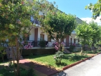 Photos
